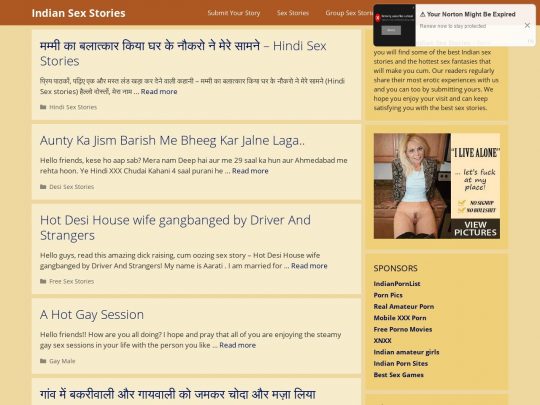 Hot indian sex stories hindi