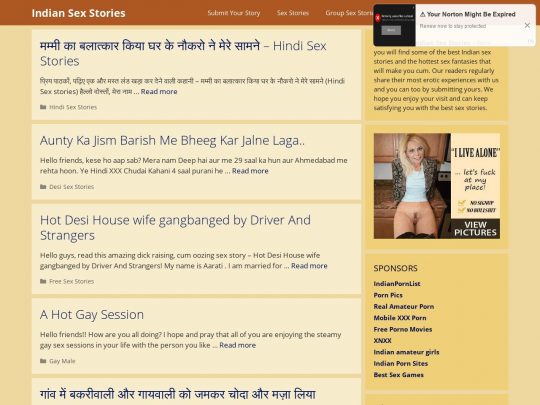 Hot Sex Hindi Language - The Best Indian Sex Stories |