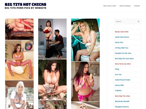 A Review Screenshot of Big Tits Hot Chicks