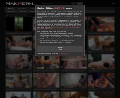 A Review Screenshot of Gay Men Porn