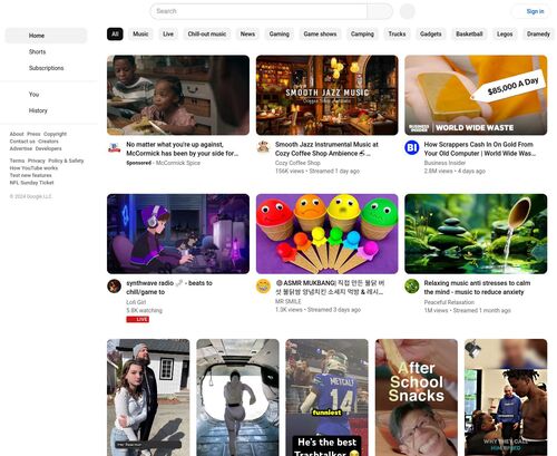 A Review Screenshot of Youtube