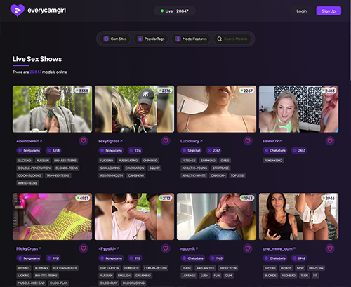 A Review Screenshot of EveryCamGirl